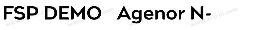 FSP DEMO   Agenor N字体转换